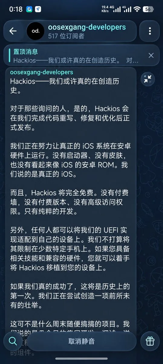 演示截图：关于本机 / 系统信息（X 流传）